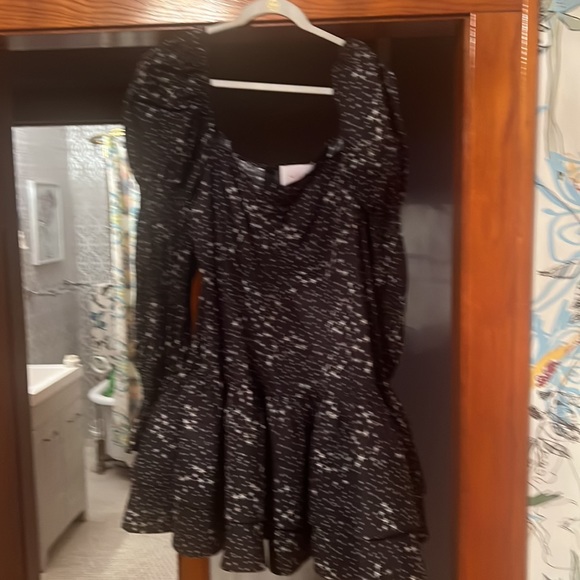 Selkie What a Night Beverly Hills Dress 2X - Picture 3 of 6